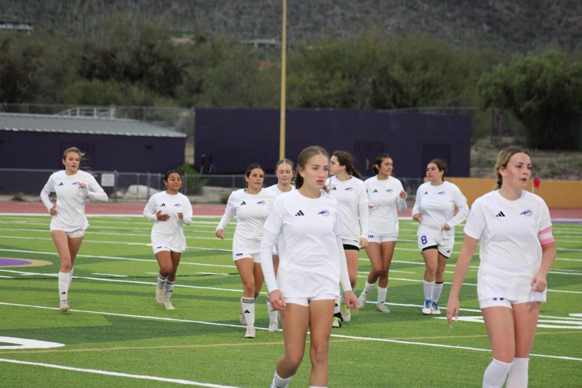 Pitch Perfect Team